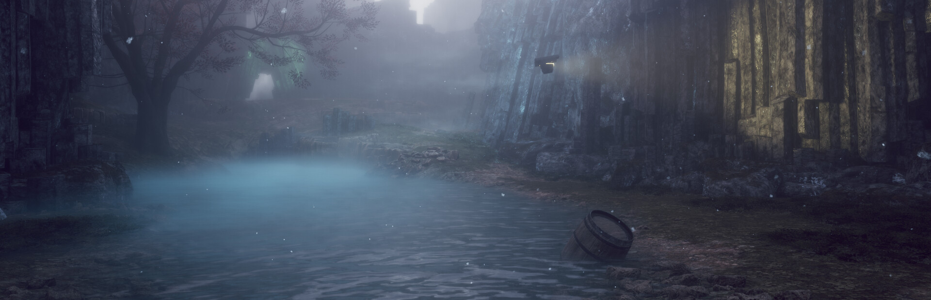 Drizzlepath: Picturae cover image