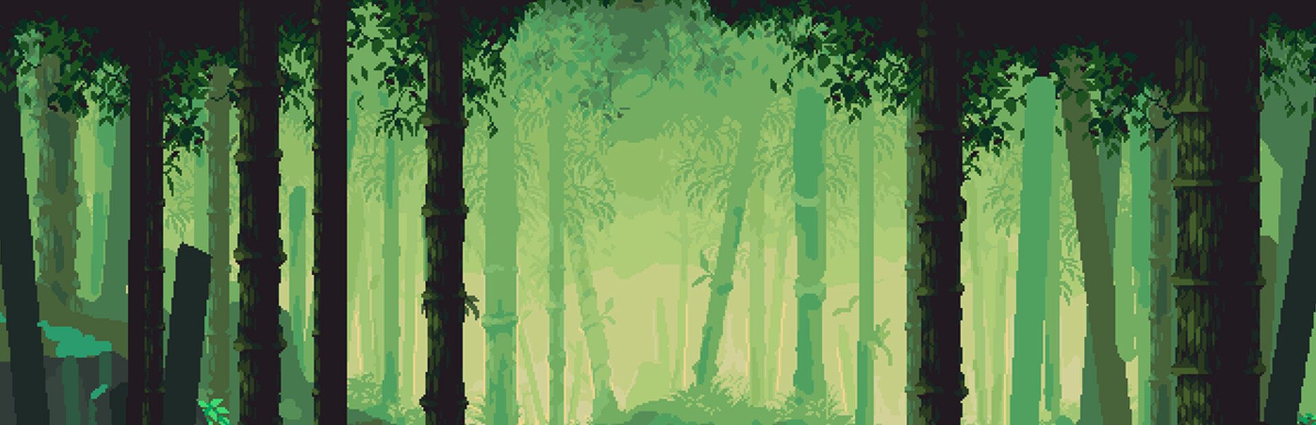 Dense forest cover image