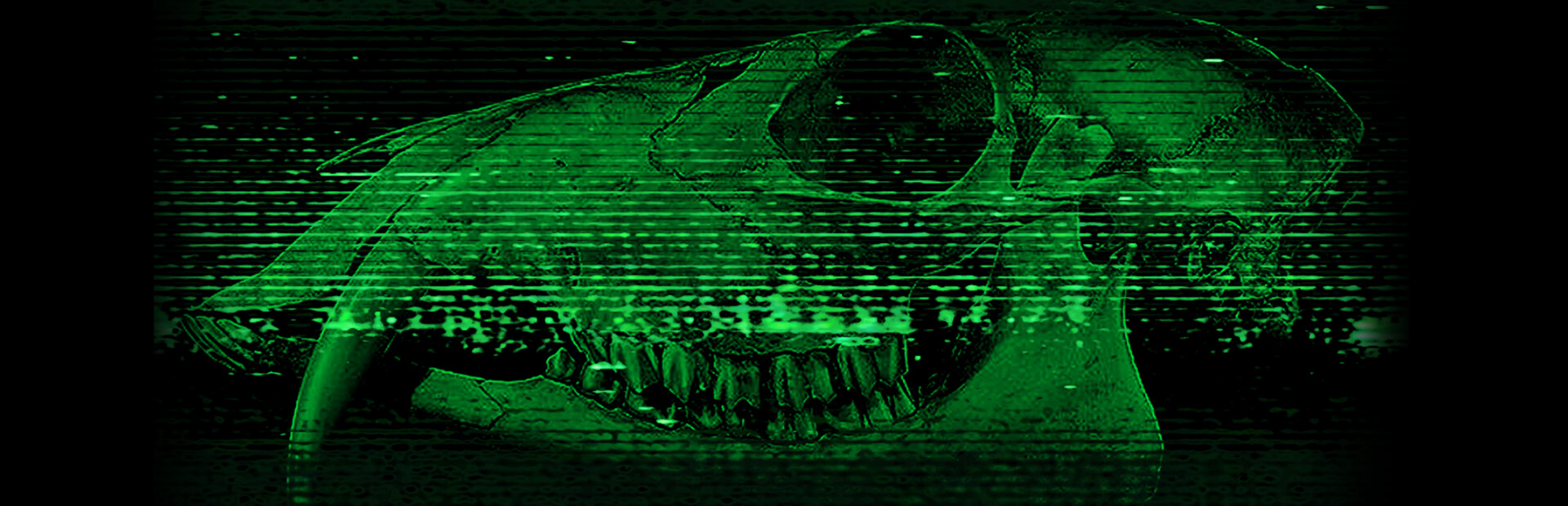 Aberration Analyst cover image