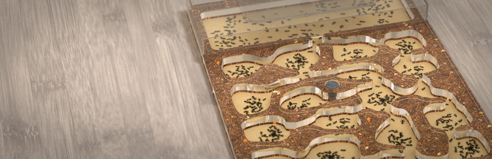 Ant Farm Simulator cover image