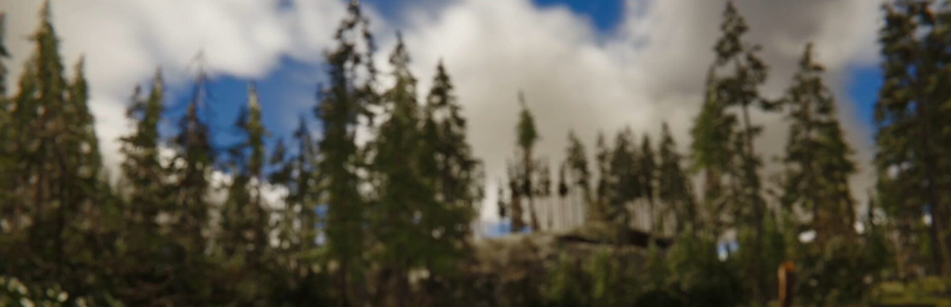 Pohinki Simulator cover image