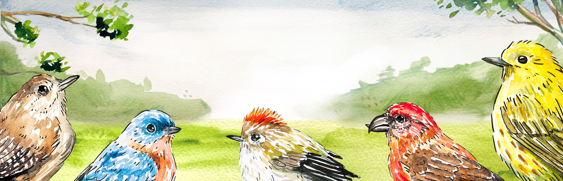 Birdfull cover image