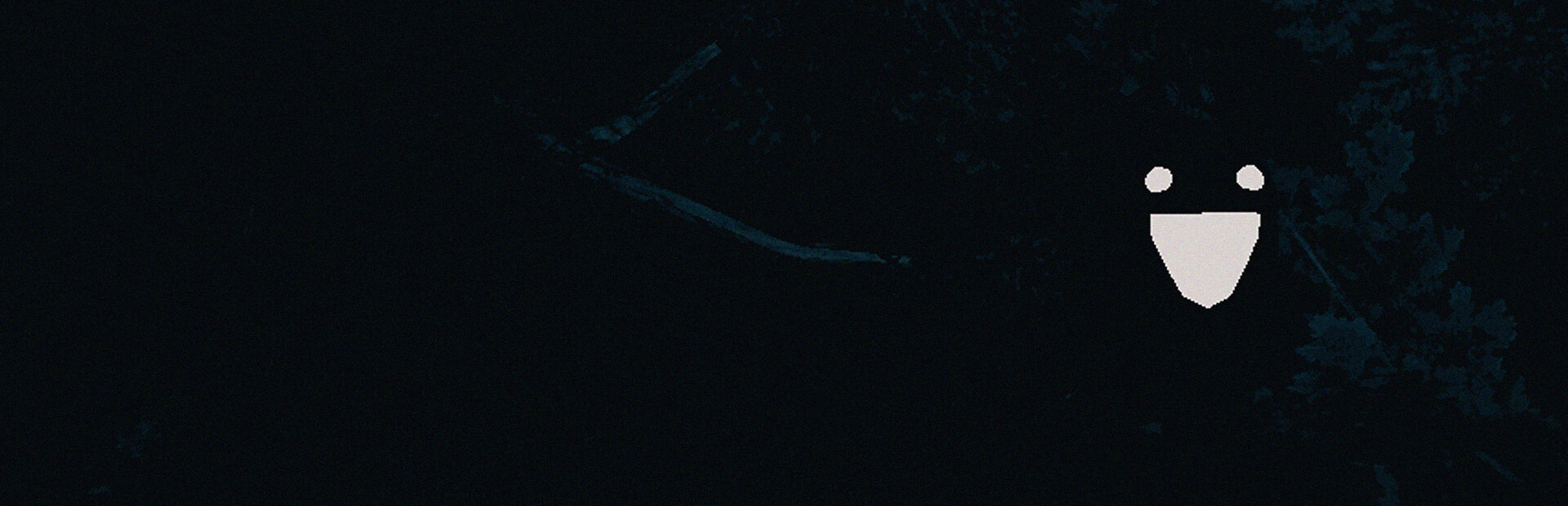 Void Whispers cover image