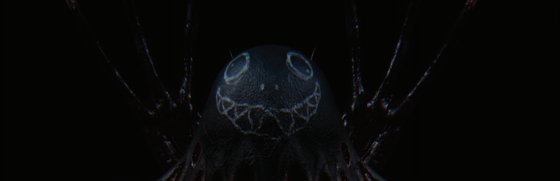Peek a Boo cover image