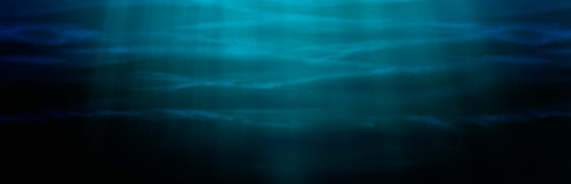 Wet steps cover image