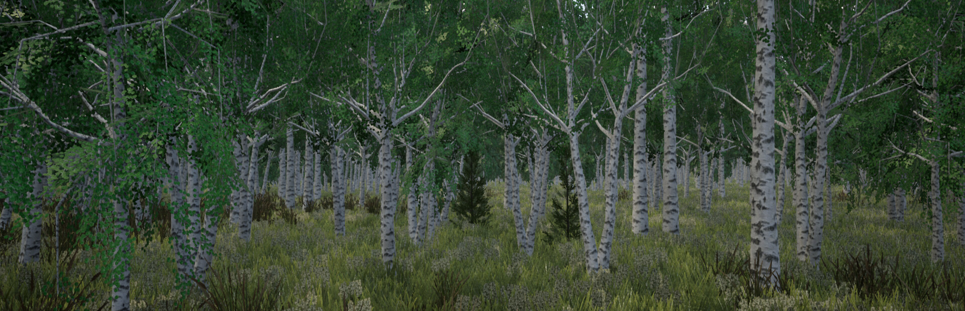 Tree Hugging Simulator cover image