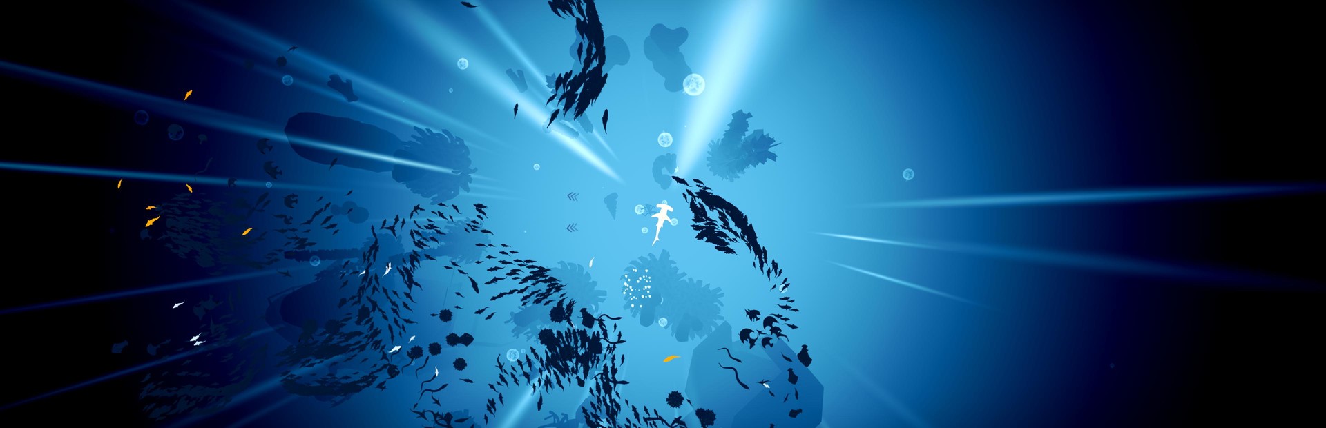 Shoal cover image