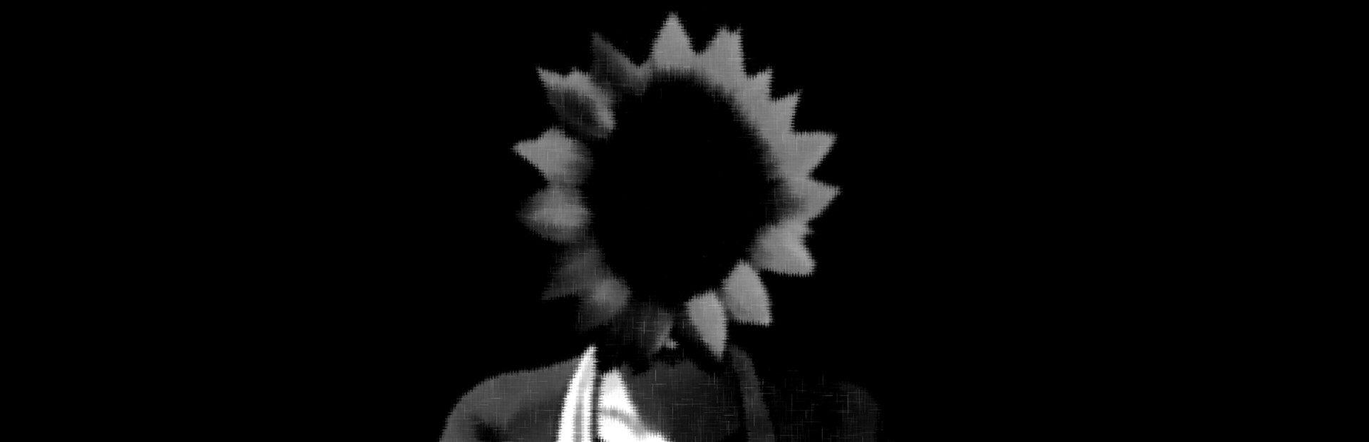 Sunflower Pie cover image