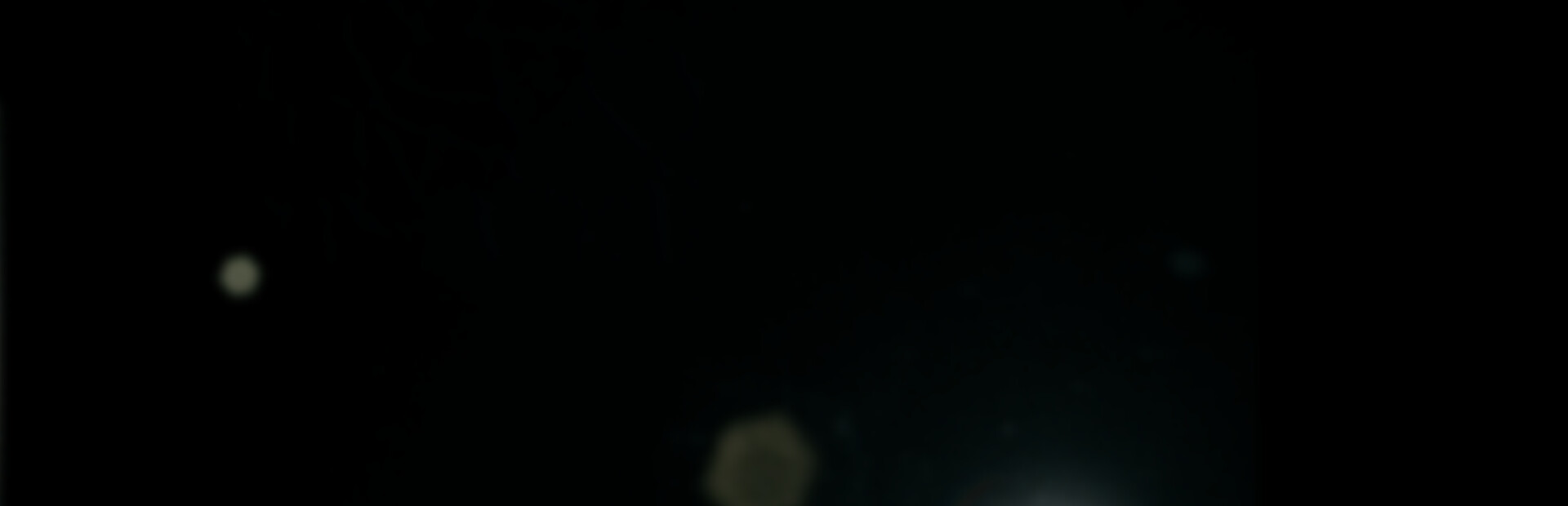 Unseen cover image