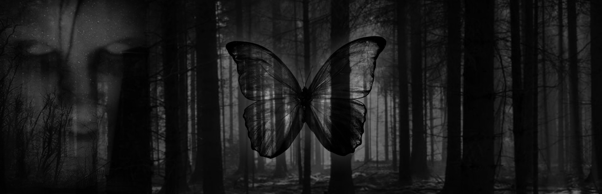 Black Butterfly cover image