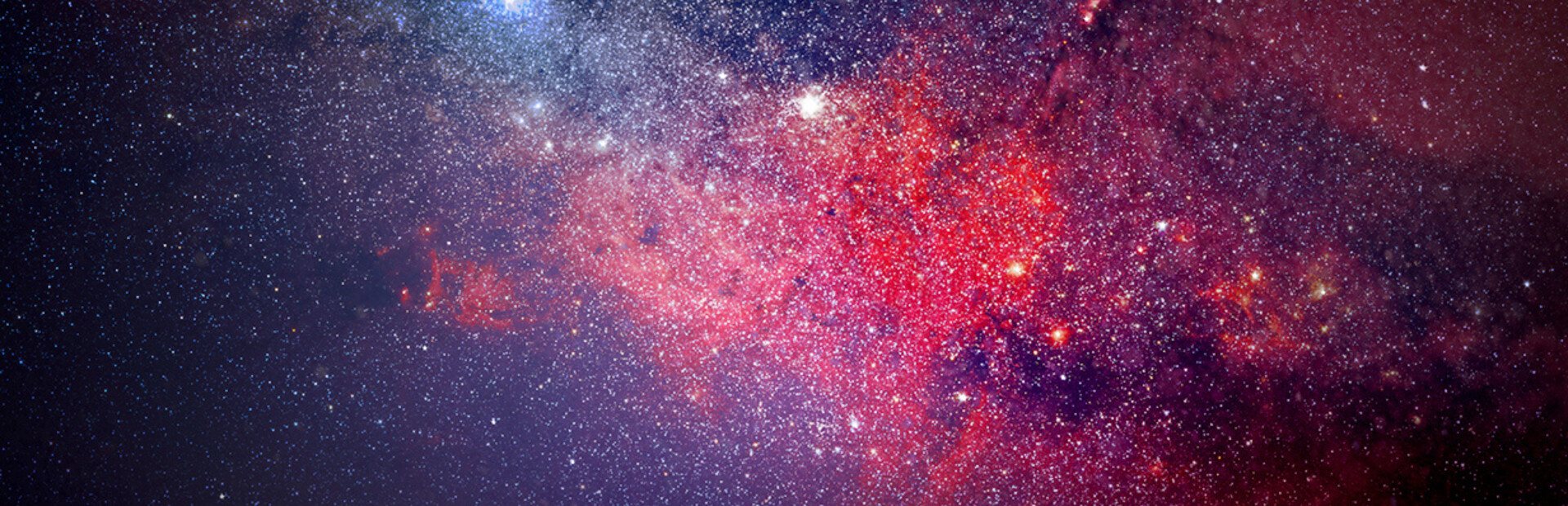 oiia cover image