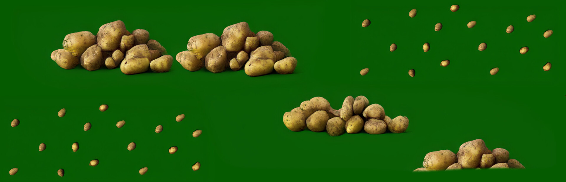 Potato cover image