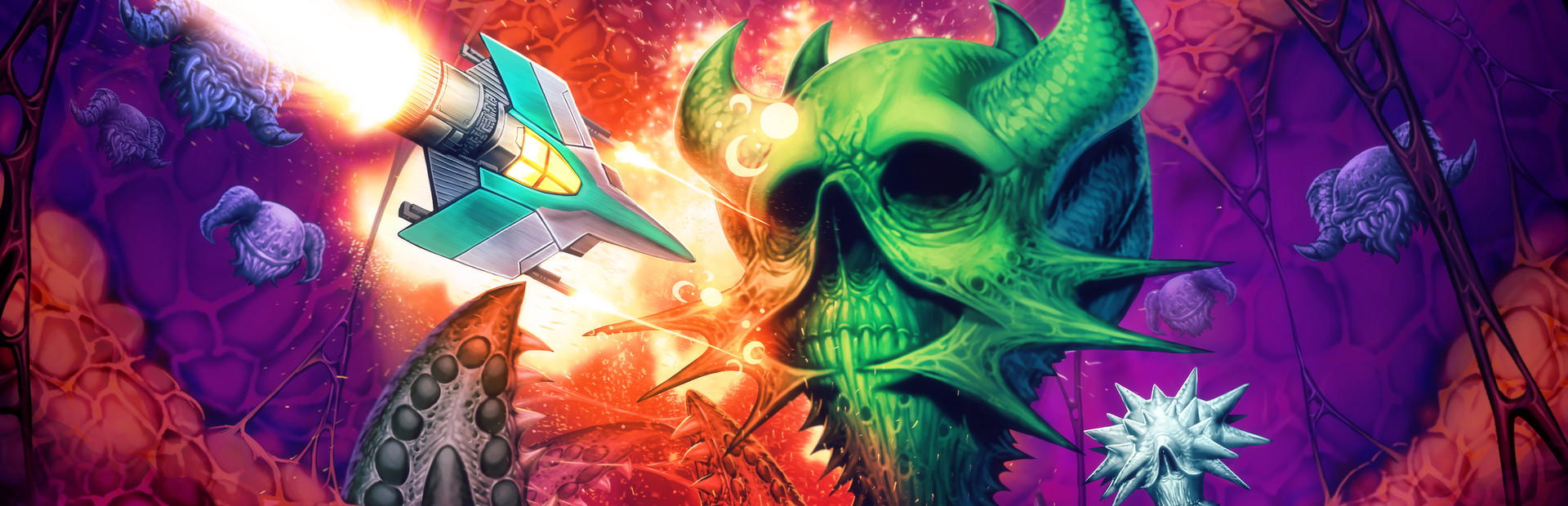 Z-Warp cover image