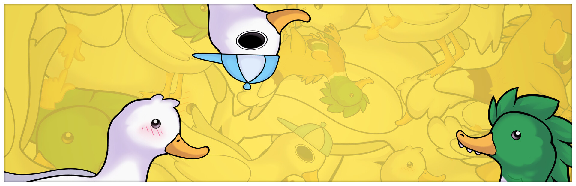 DUCKS cover image