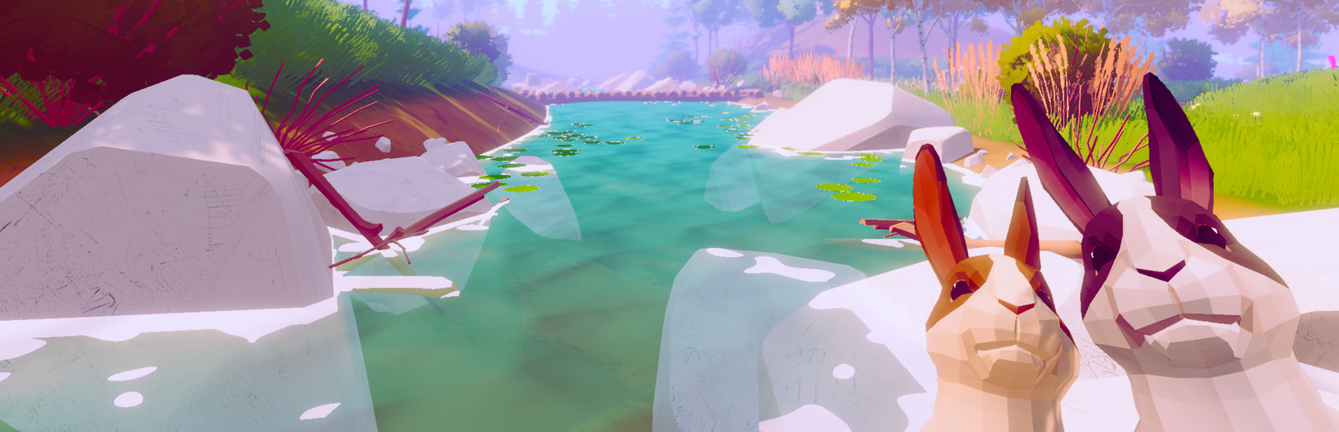 Rabbit Simulator cover image