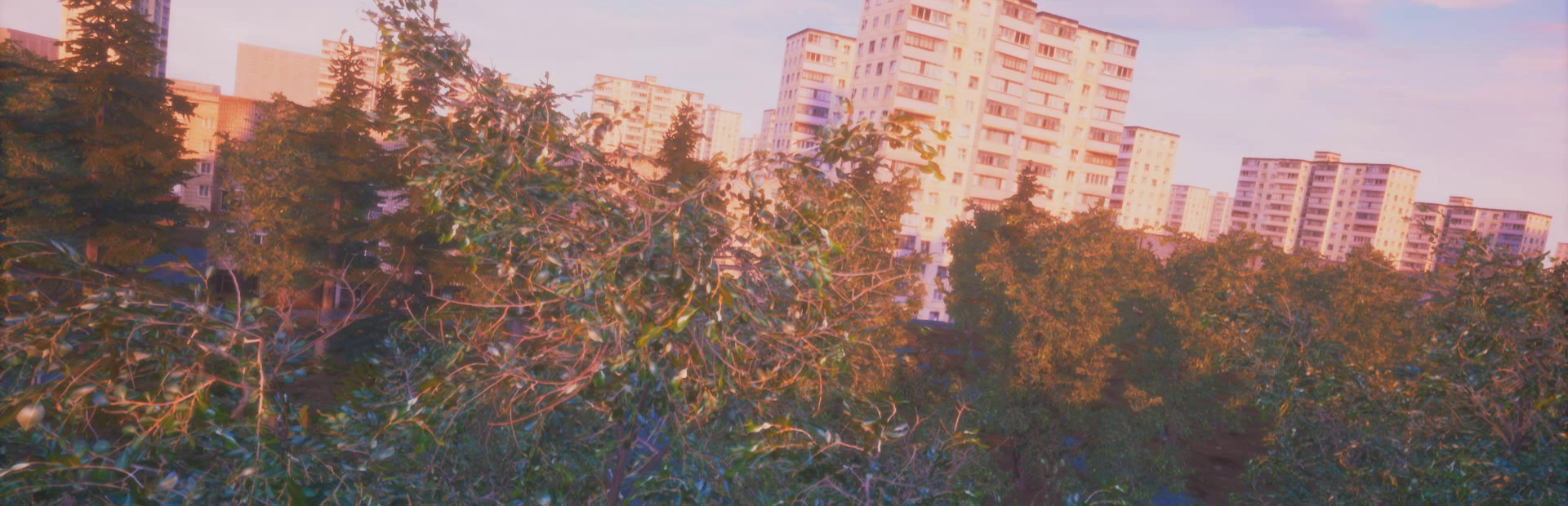 Симулятор Сидения на Крыше cover image