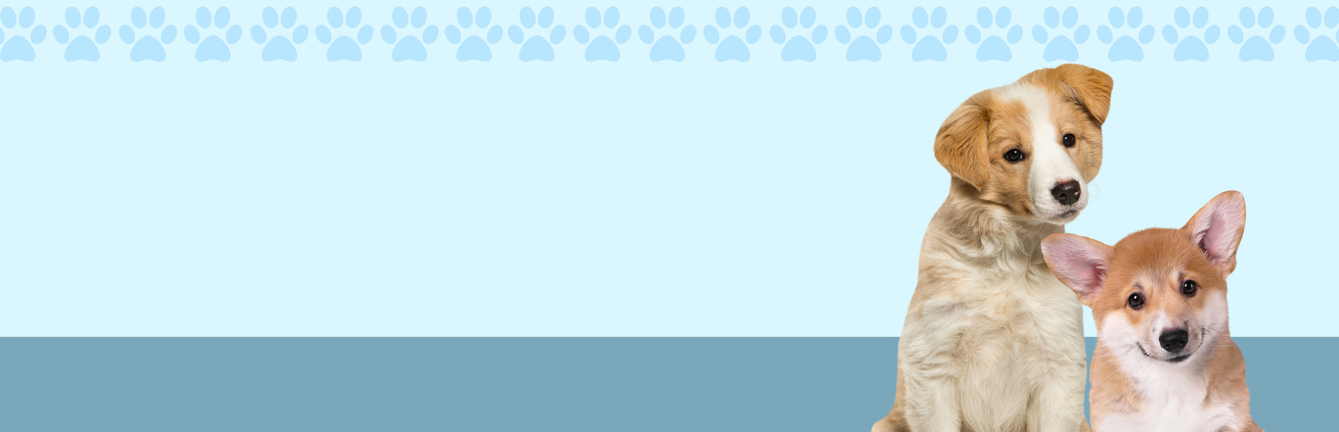 I Love Finding Pups cover image