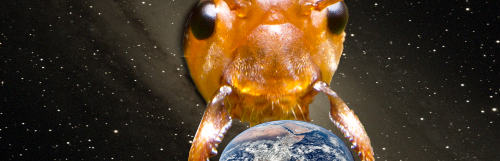 2023: Alien Bugs Invade Earth cover image