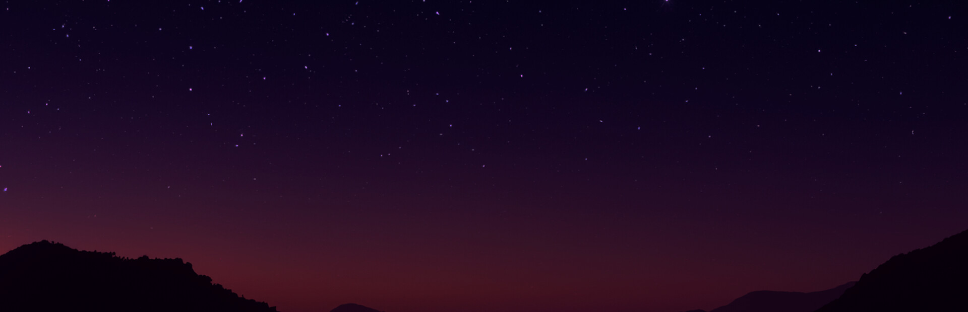 Cactus Simulator 2 cover image