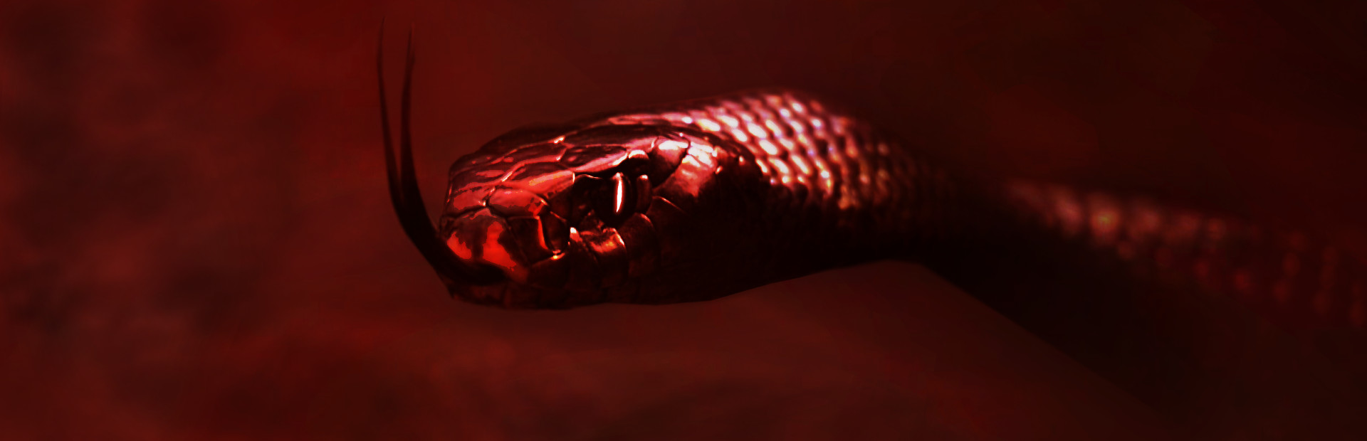 Don't Let Go! cover image