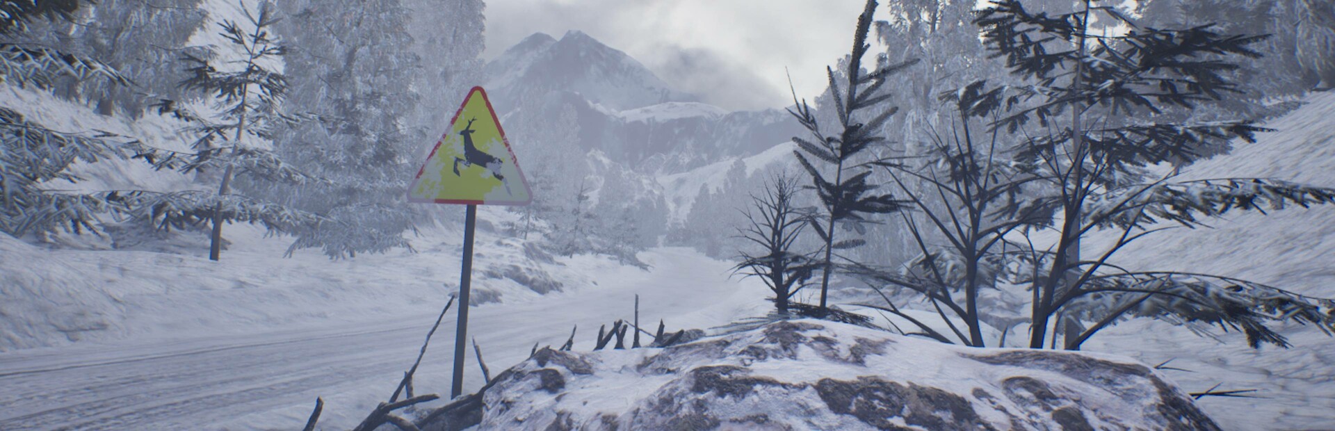Forest Asylum cover image