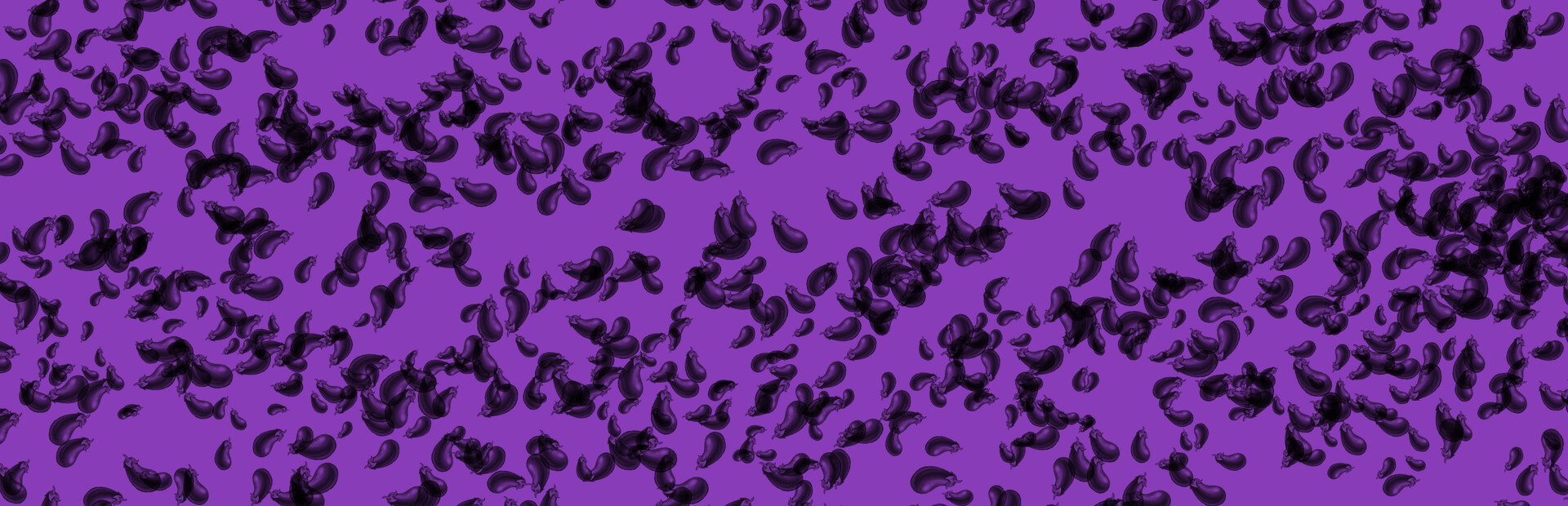 Eggplant cover image