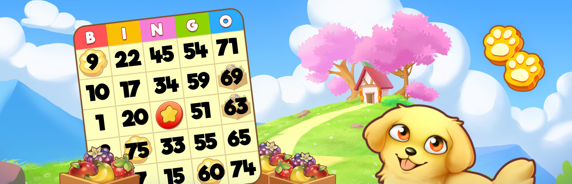 Bingo Pets - Save the Pets cover image
