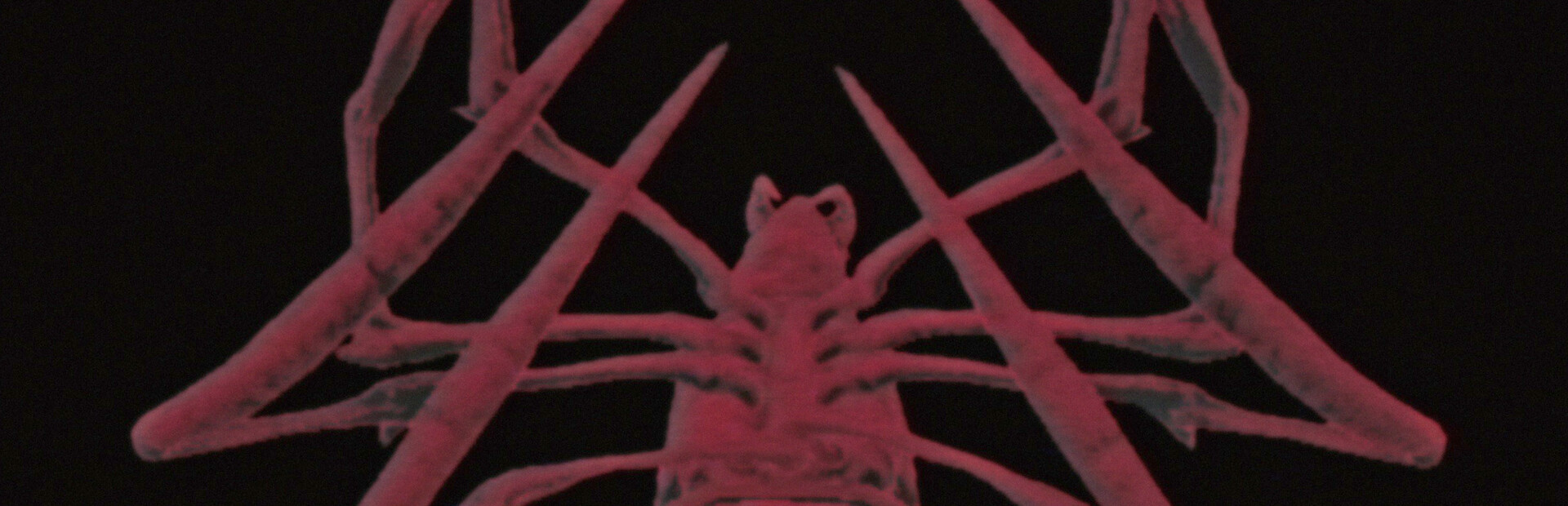 SPIDER MALL ! cover image
