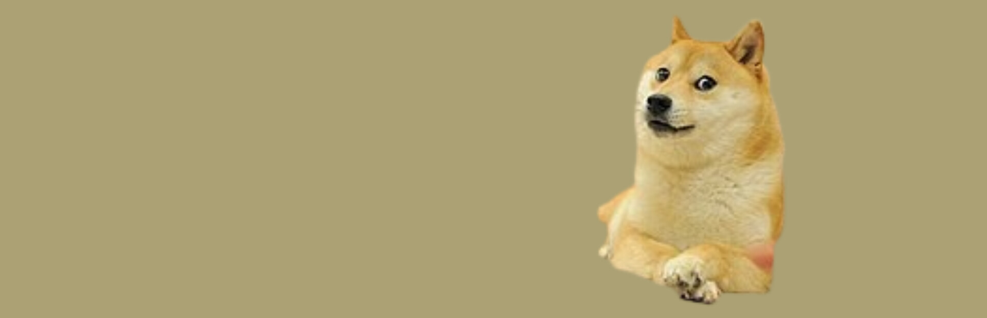 Dog cover image