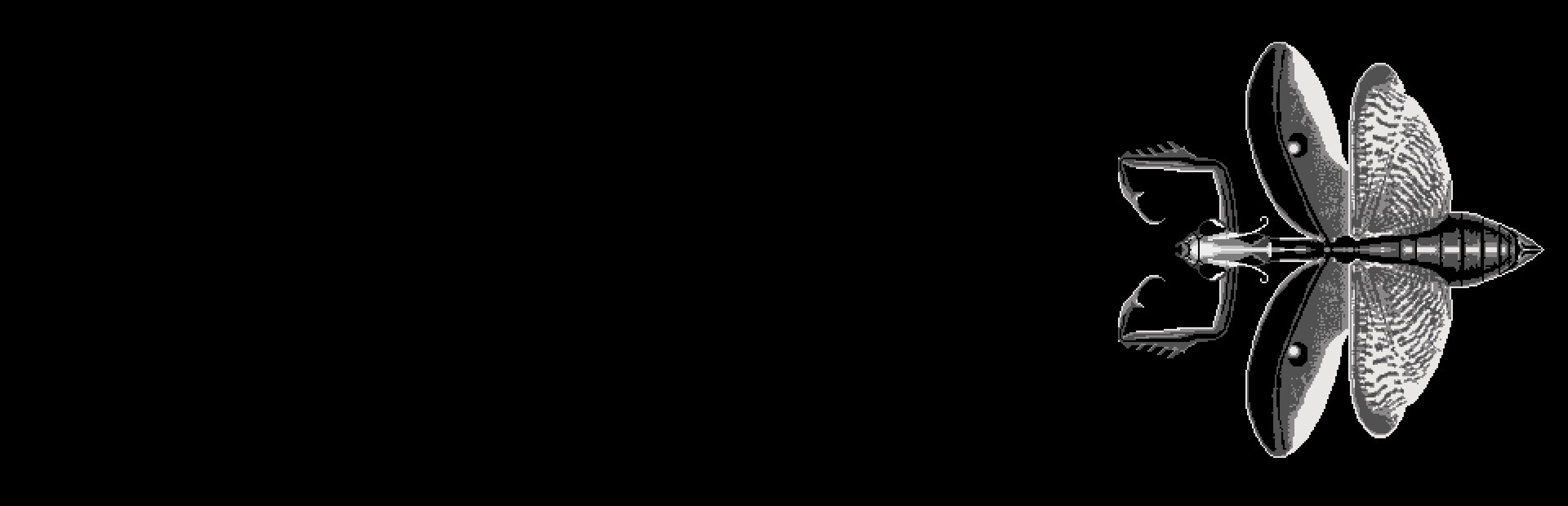 Hexapoda cover image