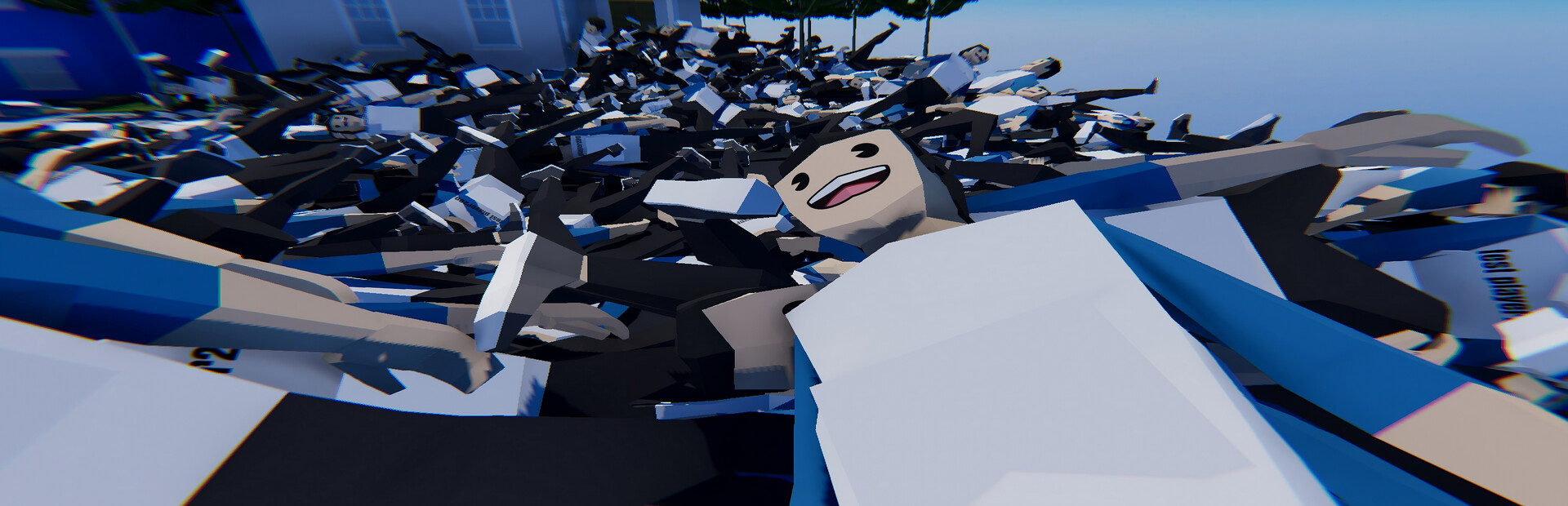 Chat Ragdoll Racing cover image