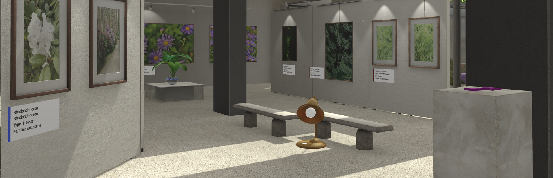 Plant Gallery: A Short Botanic Experience cover image