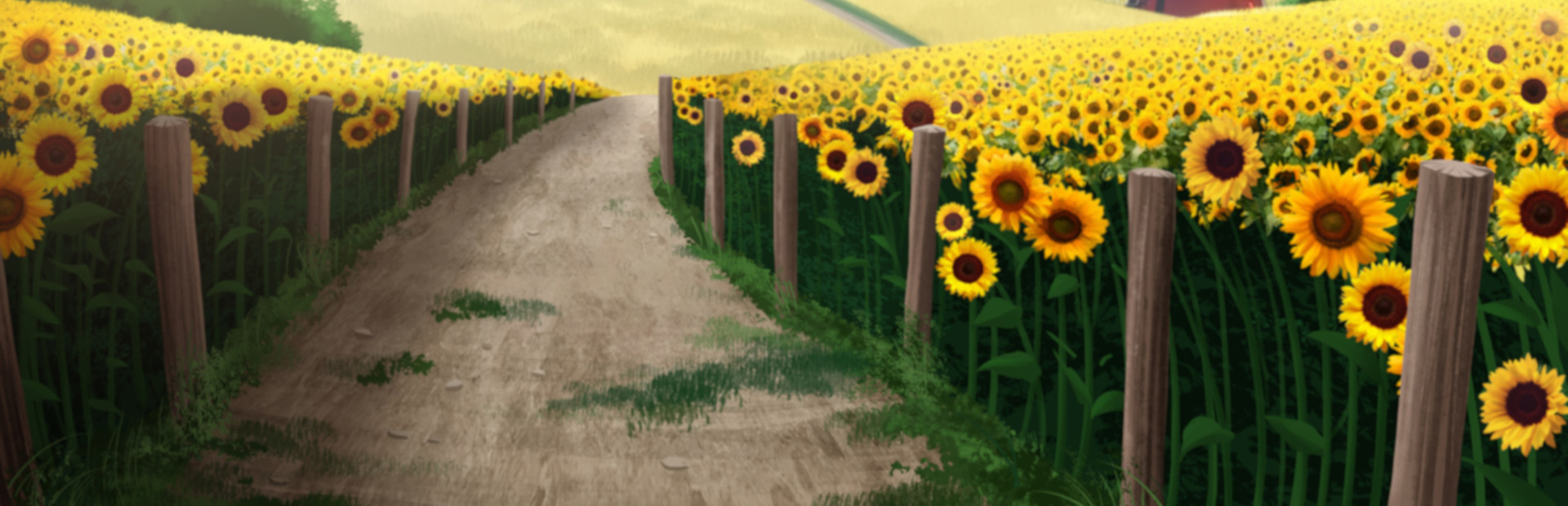 Sunflower cover image