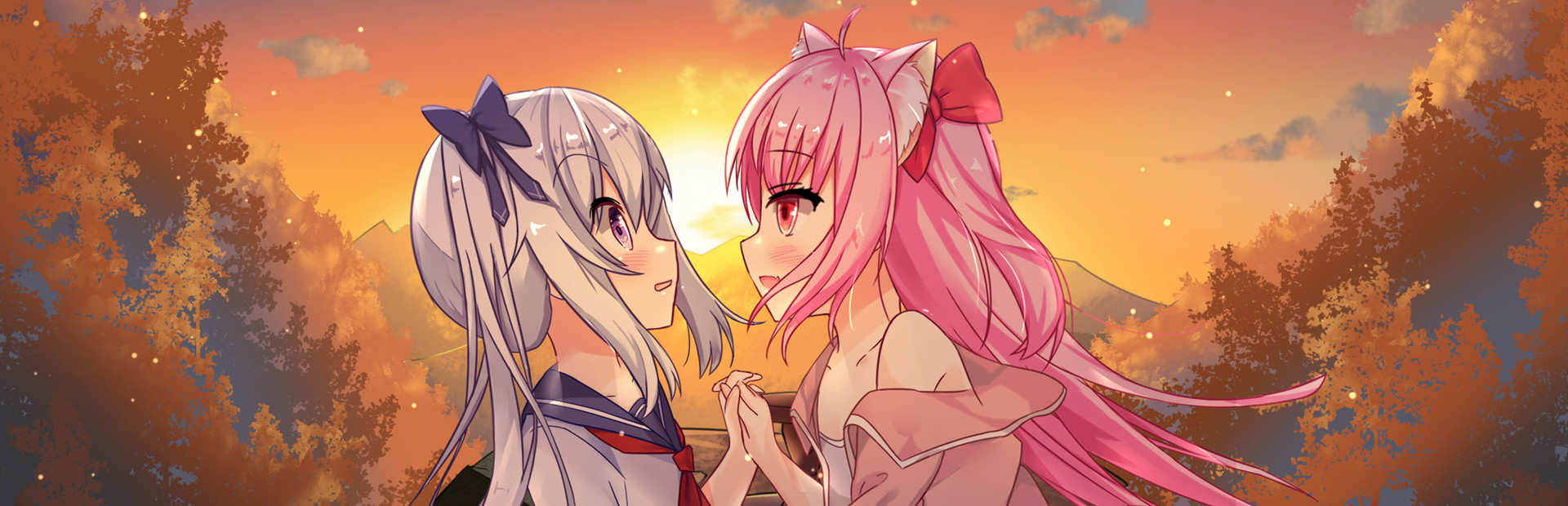 佩尔霍宁 cover image