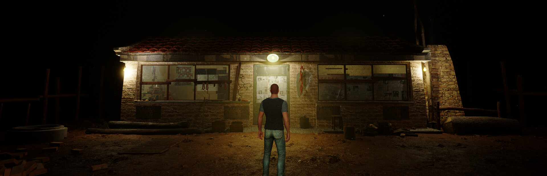 The Adventures of LinShanHai cover image