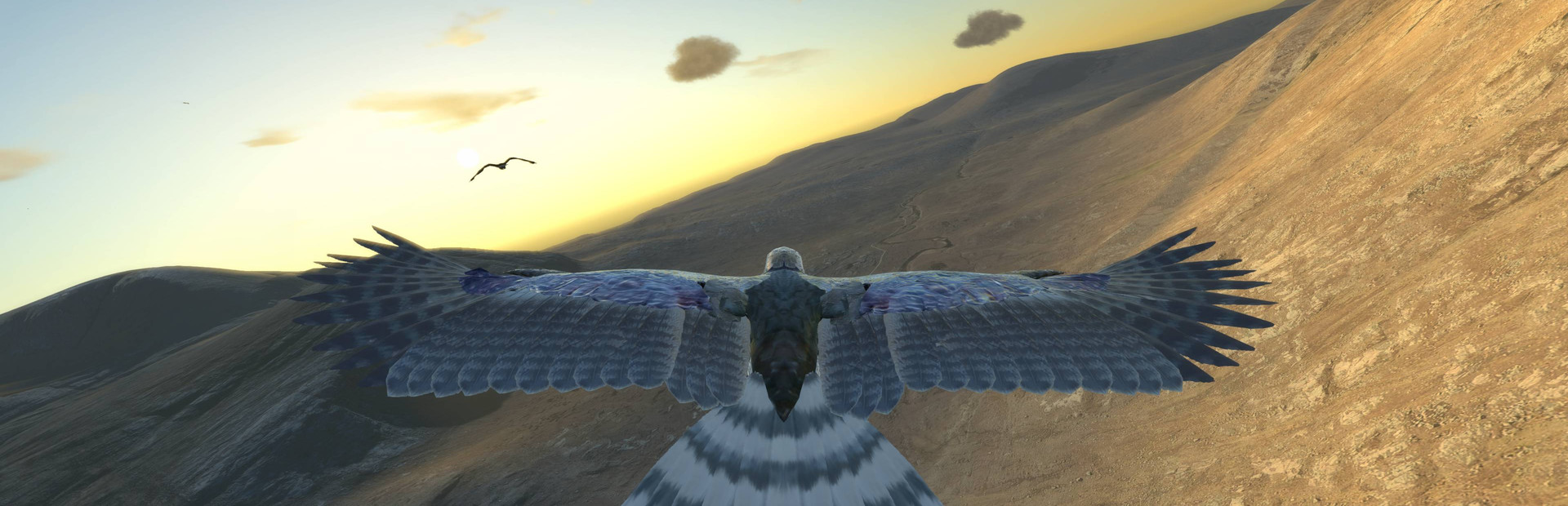 Aquila Bird Flight Simulator cover image