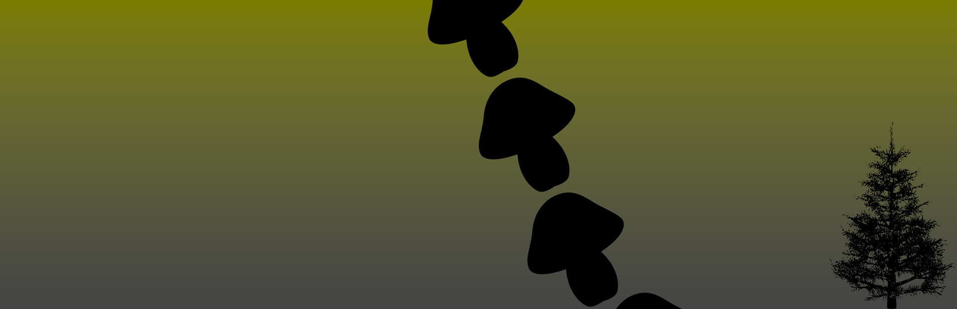 Mystic Shroom cover image