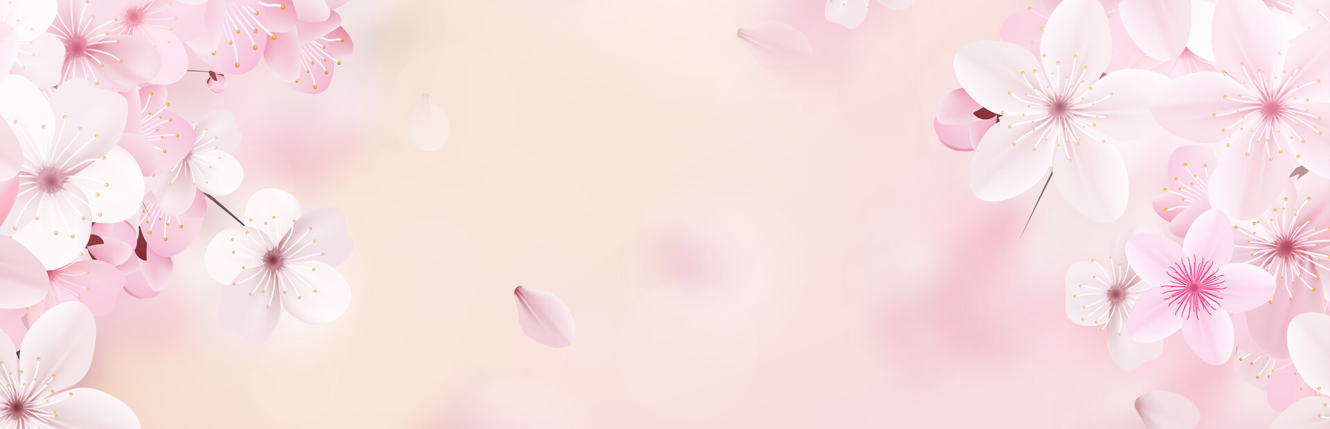 Katana cover image