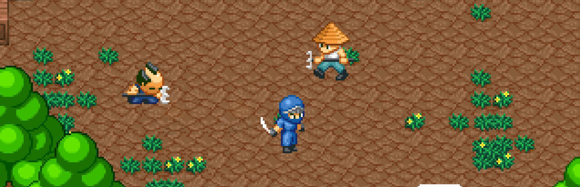 Pixel Ninja cover image