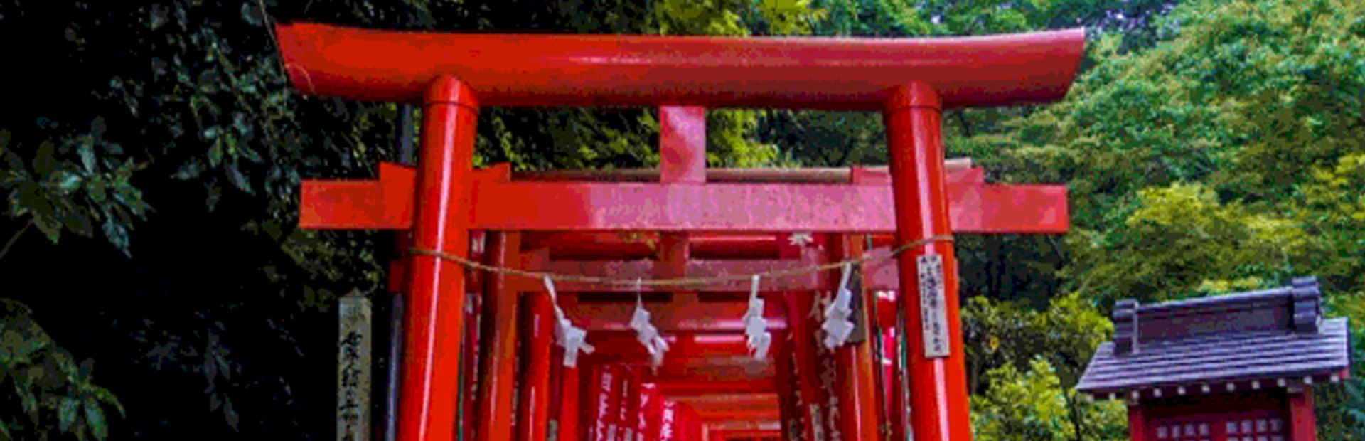Abiko The Miko 2 cover image