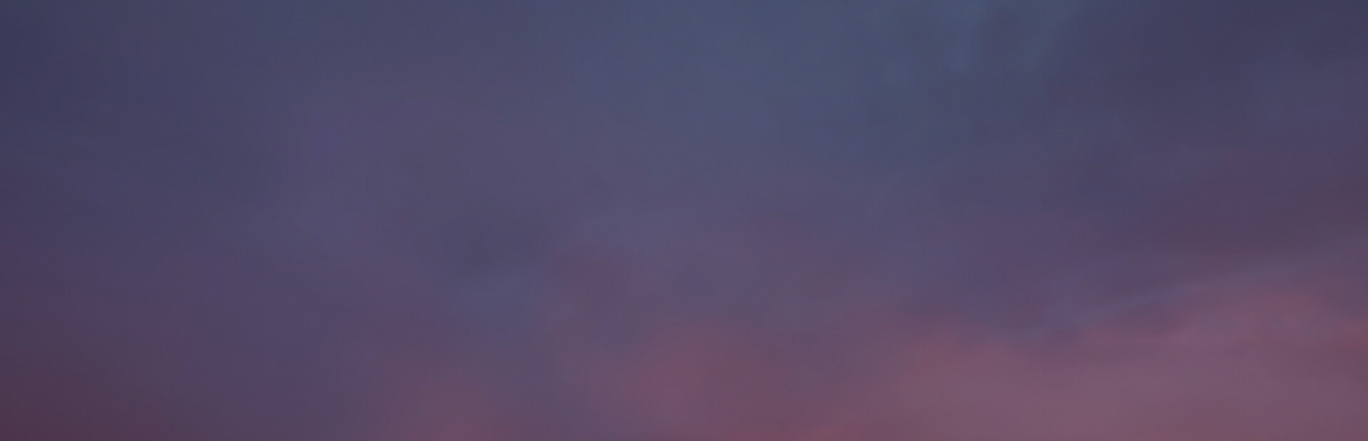 Palm Simulator 2 cover image