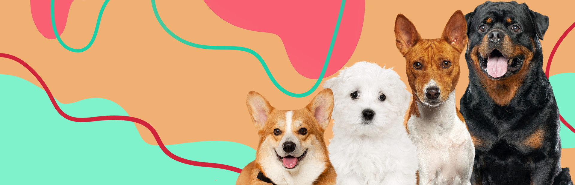 I Love Finding MORE Pups cover image