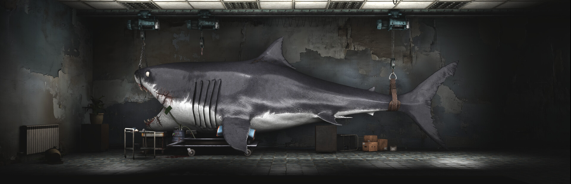 Shark Dentist cover image