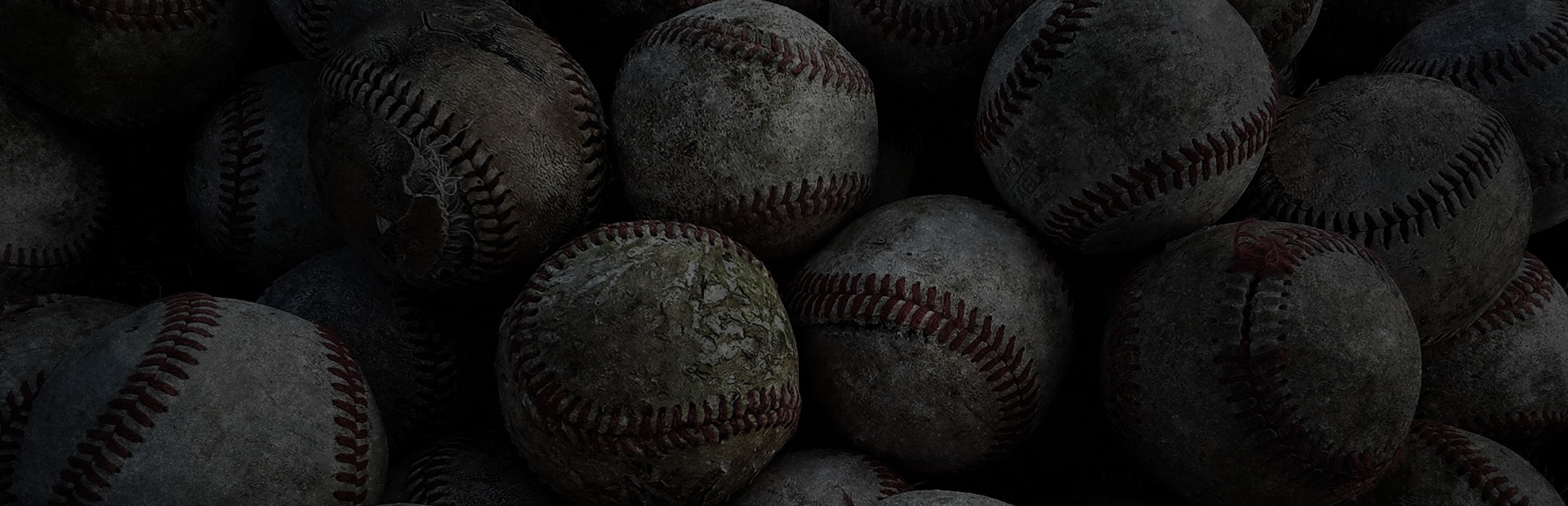 Fly Away Baseball cover image
