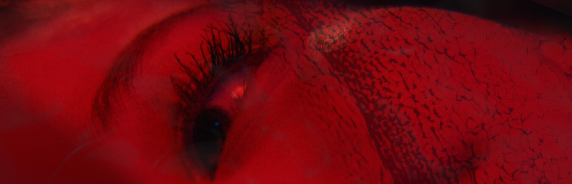 PRECOGNITION  cover image