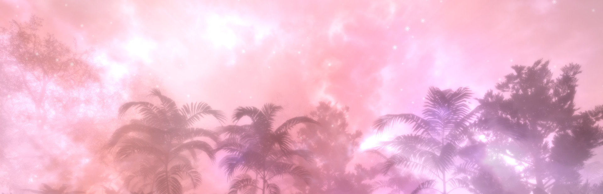 Hidden Treasures in the Forest of Dreams cover image