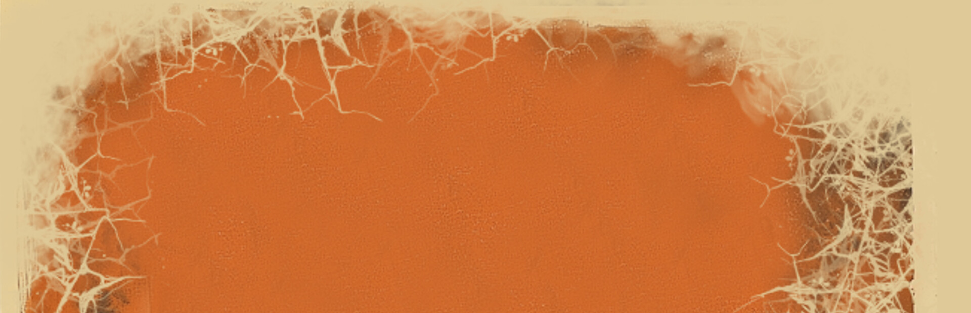 Unknown Operations : The Habitus cover image