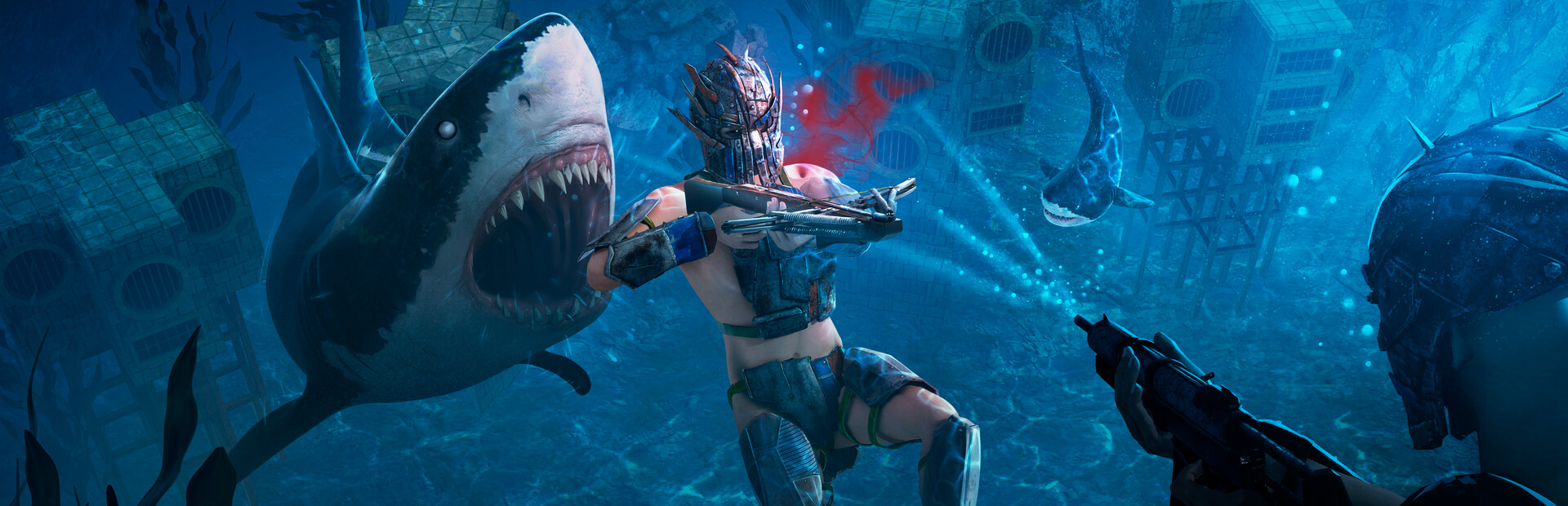 Anchor cover image