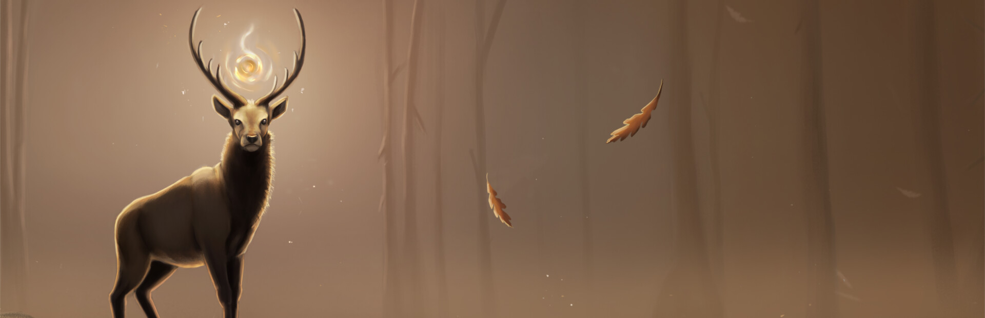Split Spirit cover image
