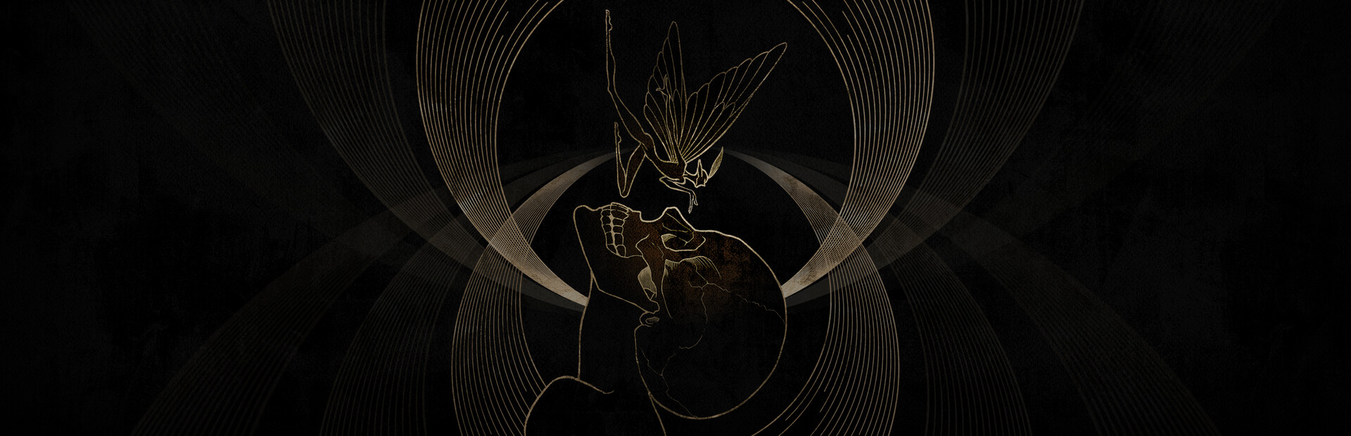 Death & Faeology cover image